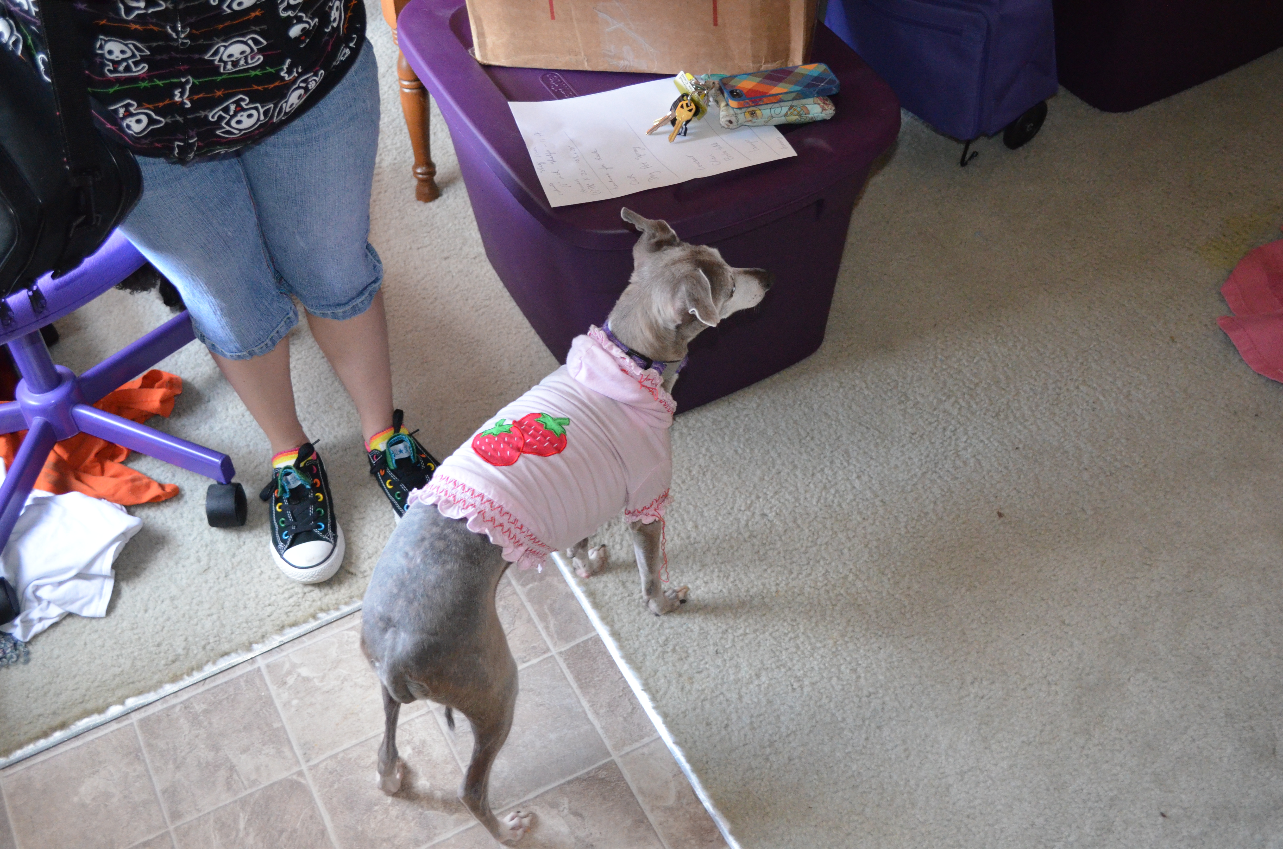 ./2013/Carinas Apartment/DSC_2790.JPG